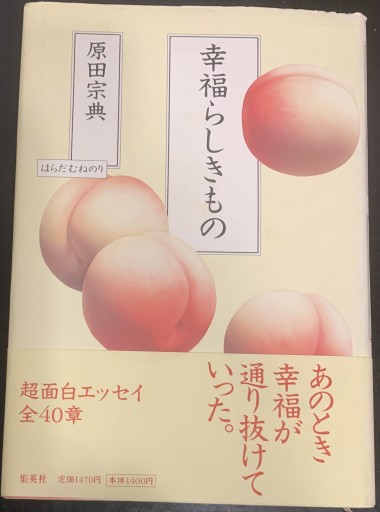 幸福らしきもの - tsundoku