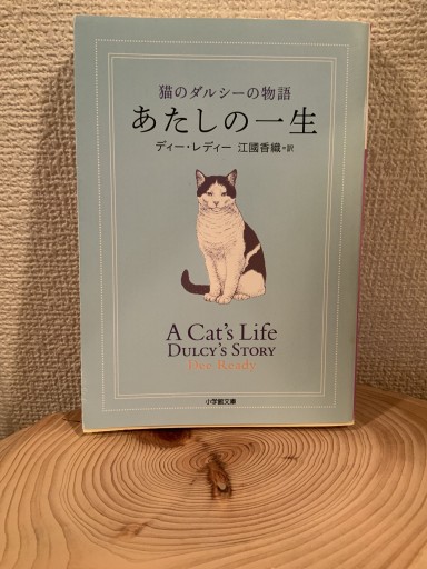 あたしの一生: 猫のダルシーの物語（小学館文庫 え 4-4） - mein Platz