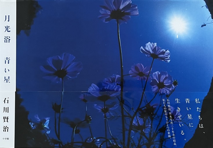 月光浴 青い星 - からだとこころと暮らす棚