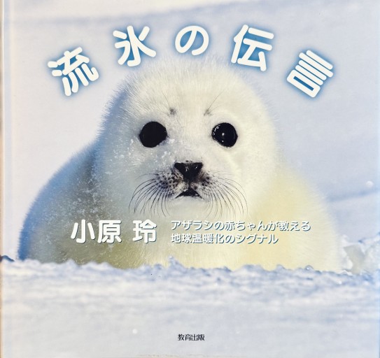 流氷の伝言: アザラシの赤ちゃんが教える地球温暖化のシグナル - ひとつぶ本棚