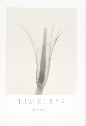 TIMELESS（単行本）【サイン入り】 - 朝吹真理子の本棚