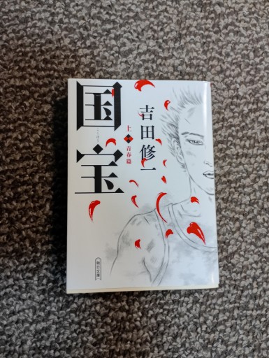 国宝（上） 青春篇（朝日文庫） - 内科医の本棚