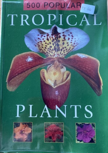 TROPICAL PLANTS(英文) - えみたびbooks