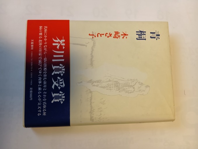 青桐 - Big-books