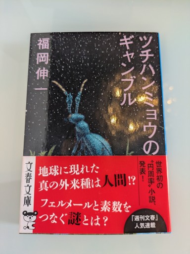 ツチハンミョウのギャンブル - 福岡ハカセの動的書房