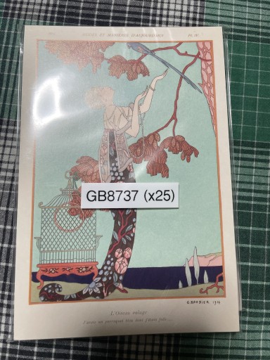 GB8737 バルビエ 浮気な鳥 - 岸リューリSOLIDA書店