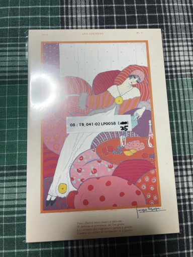 08:TB_041_02 LP0058 ルパップ クッション - 岸リューリSOLIDA書店