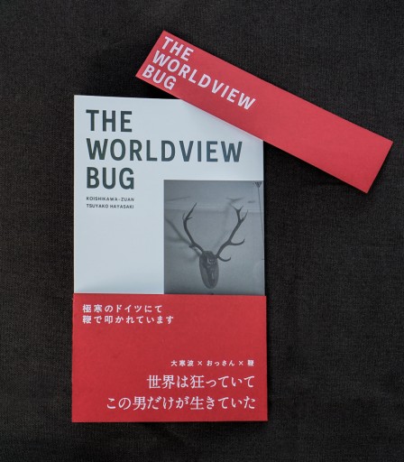 THE WORLDVIEW BUG  極寒のドイツにて鞭で叩かれています｜早崎つやこ（小石川図案） - HOTOBOLI BOOKS