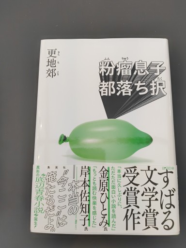 粉瘤息子都落ち択 - 豊崎 由美の本棚