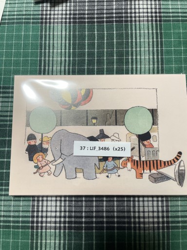 37:LIF_3486 エレ おもちゃ箱 - 岸リューリSOLIDA書店