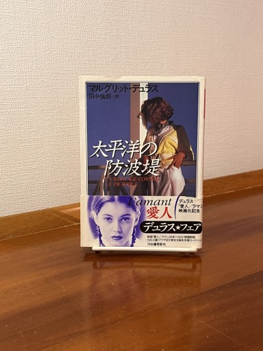 太平洋の防波堤（河出文庫 テ 1-3） - フルホン キクミミ？