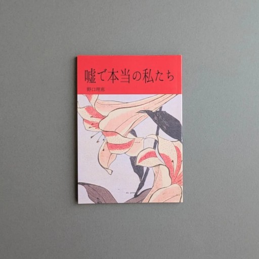 野口理恵 | 嘘で本当の私たち - Books 移動祝祭日
