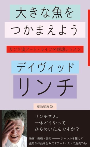 大きな魚をつかまえよう―リンチ流アート・ライフ∞瞑想レッスン