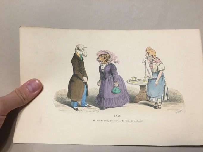 【手付彩色】1860年代J.Jグランヴィル 「当世風変身物語」風刺画  火災保険