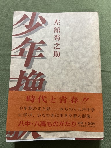 少年挽歌
