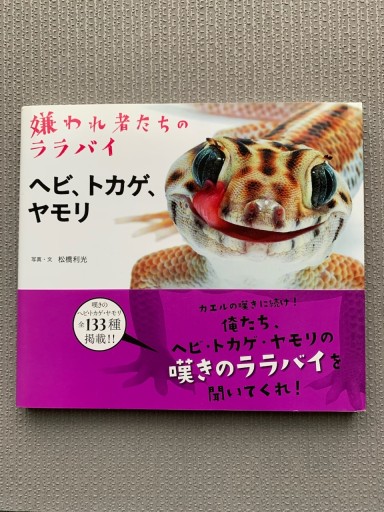 ヘビ、トカゲ、ヤモリ 嫌われ者たちのララバイ