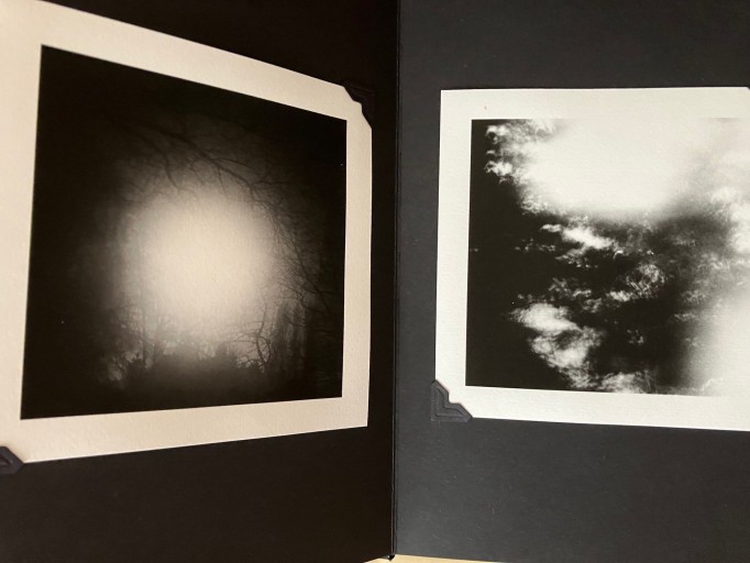 Leporello 夜の森
