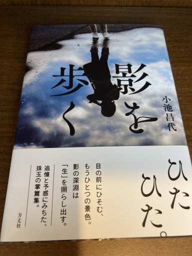 影を歩く