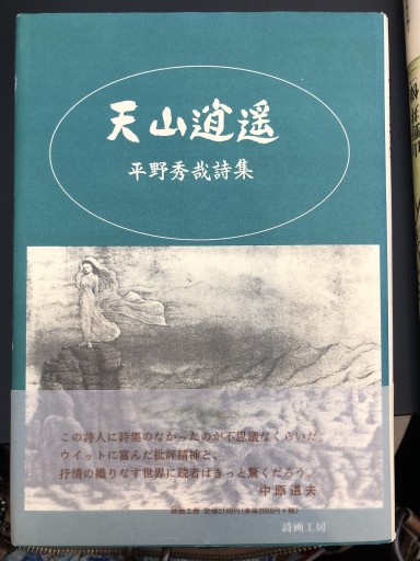 天山逍遥 平野秀哉詩集
