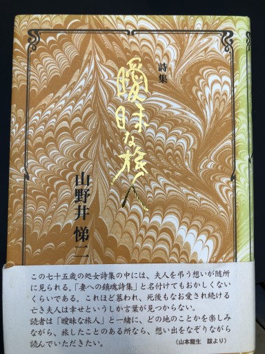 曖昧な旅人 山野井悌二詩集