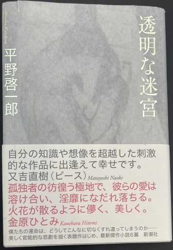 透明な迷宮（新潮文庫）