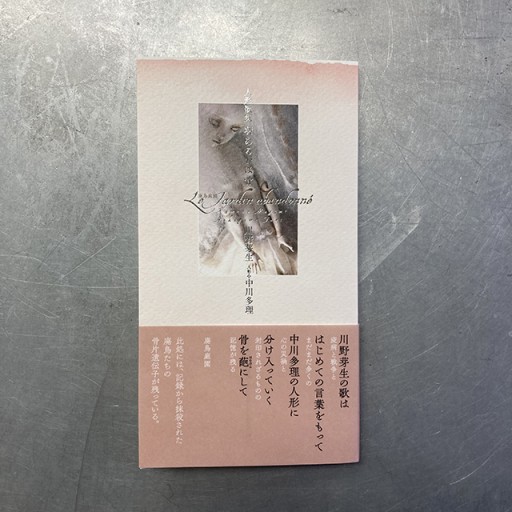 『人形歌集 羽あるいは骨』 川野芽生 中川多理