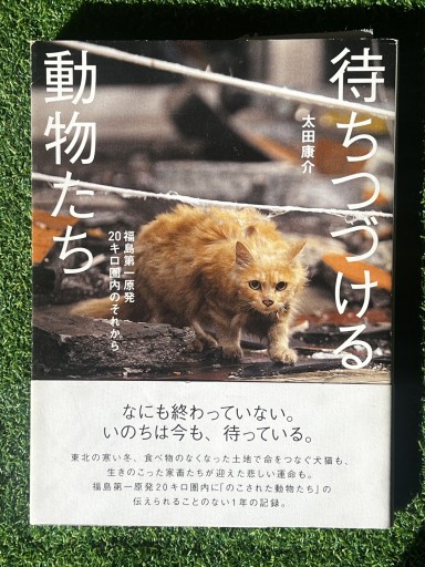 待ちつづける動物たち