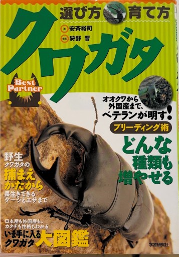 クワガタ選び方・育て方: Best partner