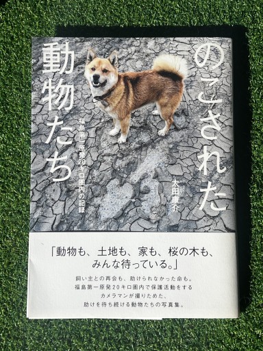 のこされた動物たち