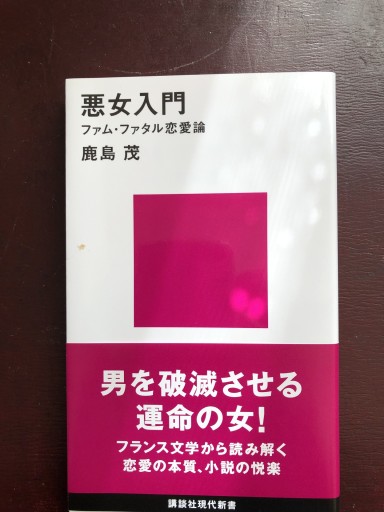 悪女入門 ファム・ファタル恋愛論（講談社現代新書）