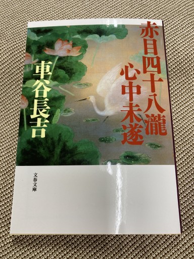 赤目四十八瀧心中未遂