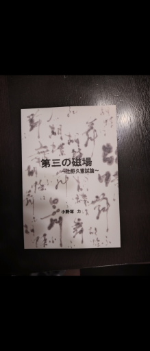 第三の磁場 辻野久憲試論