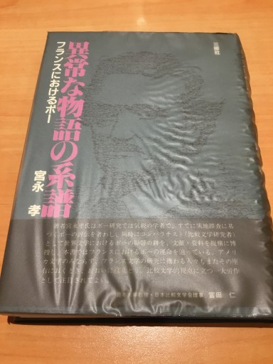 異常な物語の系譜 フランスにおけるポー