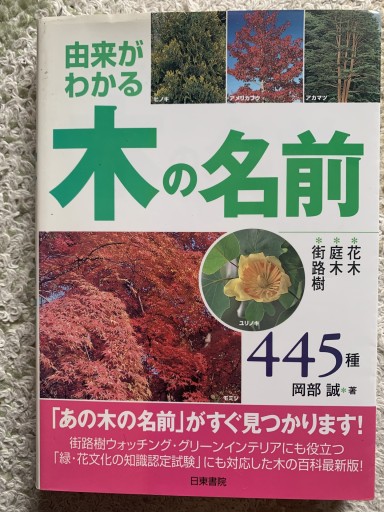 由来がわかる木の名前