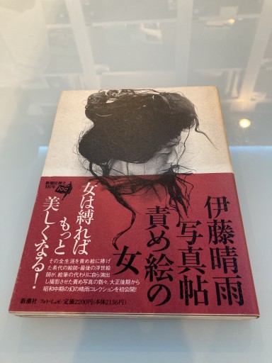 責め絵の女 伊藤晴雨写真帖