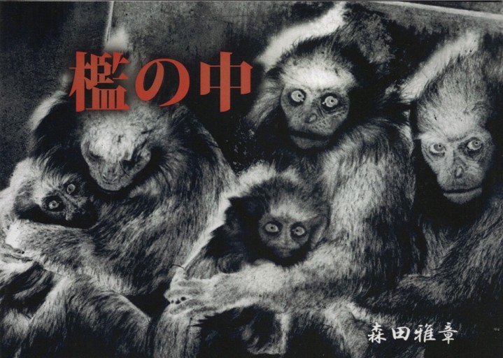 檻の中