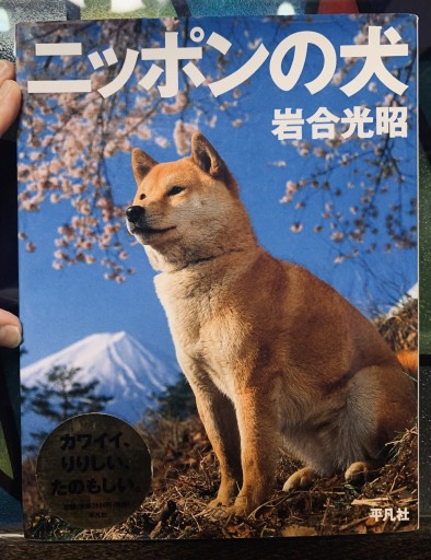 ニッポンの犬 岩合光昭:写真