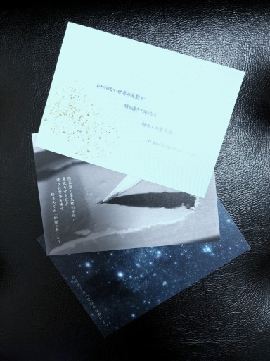 ポストカードセット「星降る森の波音」の世界