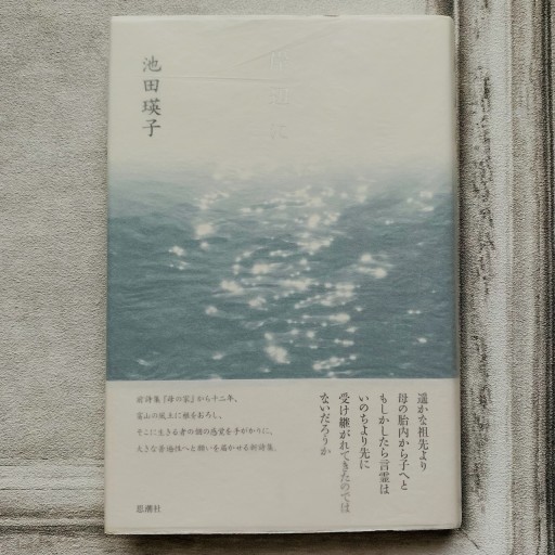 岸辺に