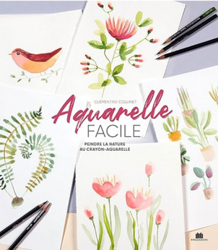 実用書「Aquarelle facile : peindre la nature au crayon」
