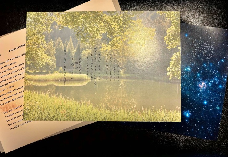 ブックカバーセット「星降る森の波音」の世界