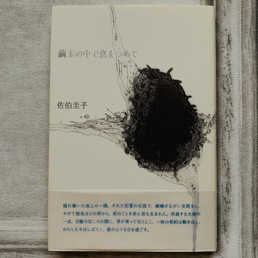 繭玉の中で息をつめて
