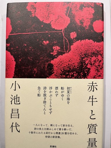 赤牛と質量