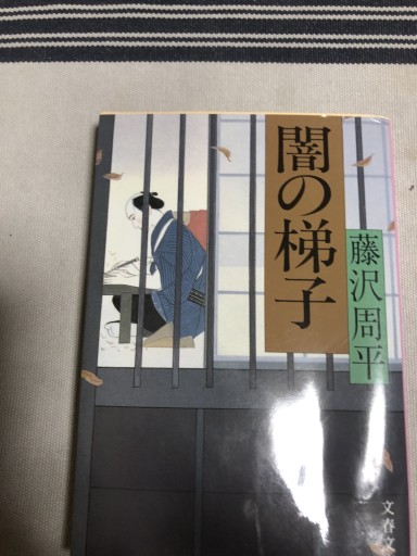 闇の梯子（文春文庫 ふ 1-17）