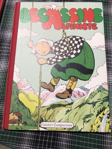 Becassine Alpiniste