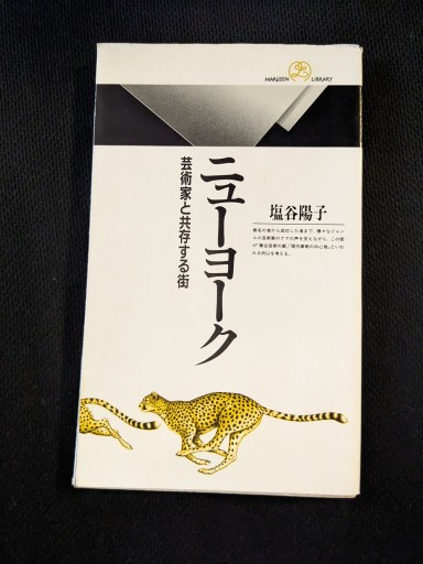 ニューヨーク 芸術家と共存する街