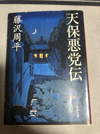天保悪党伝(新潮文庫)