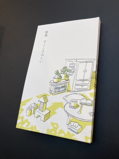 歌集 すこしさみしい