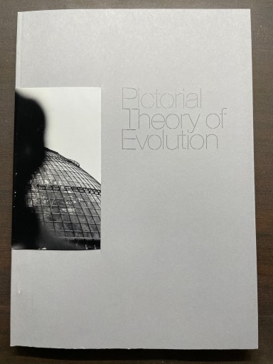 画像進化論:Pictorial Theory of Evolution サルからヒトへ、そしてスペクタクルの社会 メディア的進化と創造的退行のダイナミズム