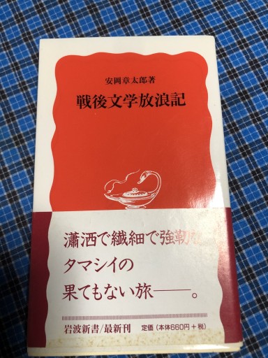 戦後文学放浪記（岩波新書 新赤版 678）
